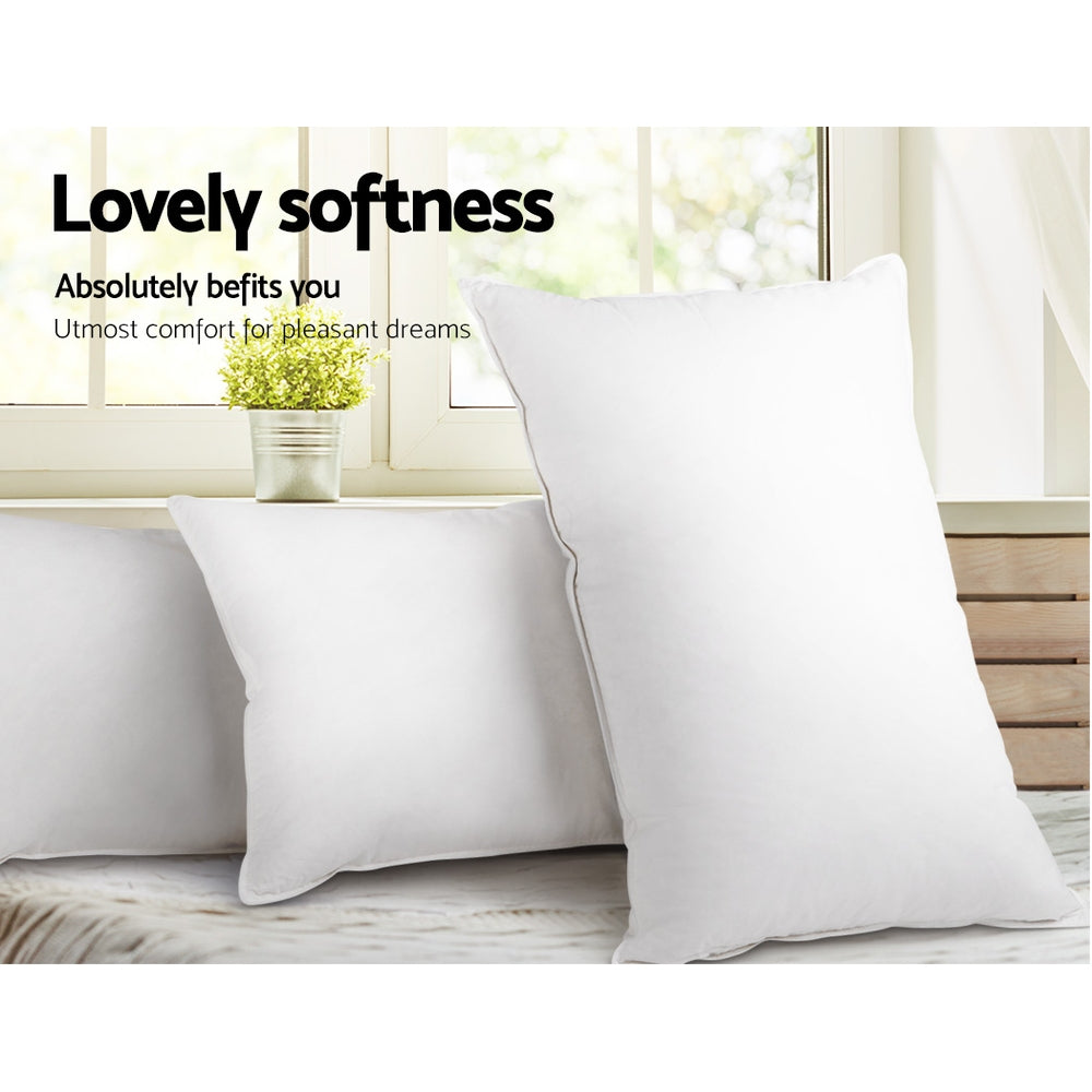 4 Pack Bed Pillow Family Hotel